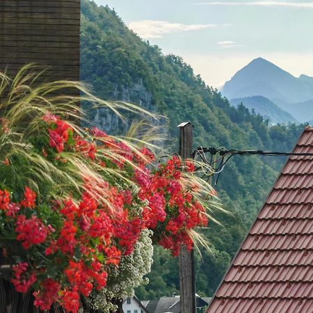 Apartma Bela Bohinjska Bela Buitenkant foto