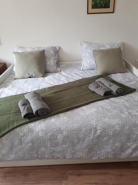 Apartma Bela Bohinjska Bela Buitenkant foto
