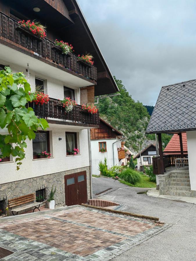 Apartma Bela Bohinjska Bela Buitenkant foto